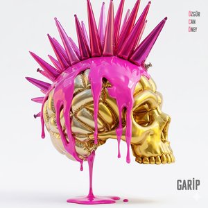 Garip