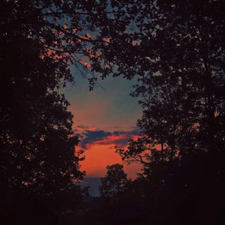 。。。。。。。