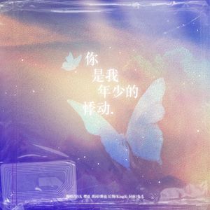 你是我年少的悸动
