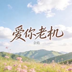 爱你老机