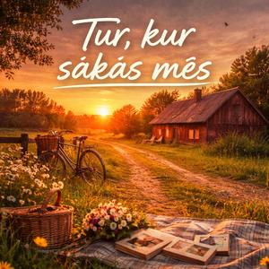 Zemeņu lauka melones