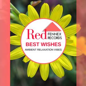 Bright Temple Mornings