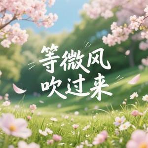 等微风吹过来