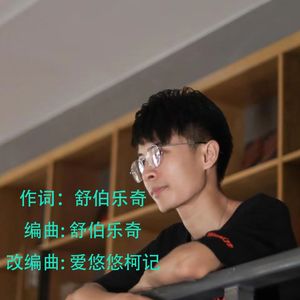 舒伯乐奇-企业宣传片大气开场背景音乐改版（爱悠悠柯记 remix）