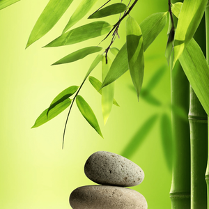 《岁月慷慨的时光慢旅》