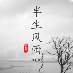 半生风雨