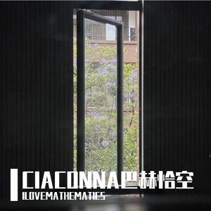 J.S.BACH BWV1004 CIACONNA 巴赫恰空