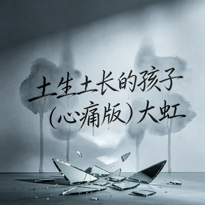 土生土长的孩子(心痛版)