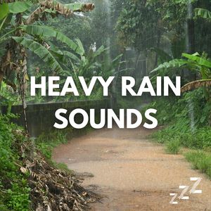 3hr Rain