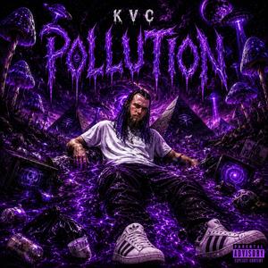 Pollution