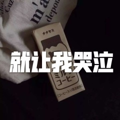 姑娘向南走 (慢摇DJ版)