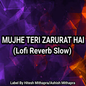 Mujhe Teri Zarurat Hai (Reverb Slow)