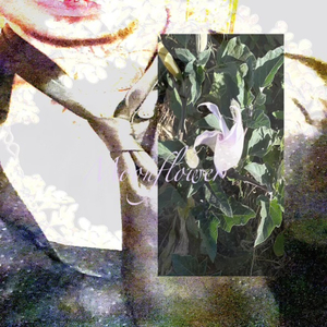 What's Wrong With Us