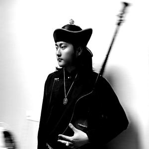 如果你变成一只海鸥