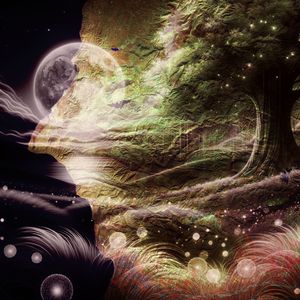 Nap in the Noonlight