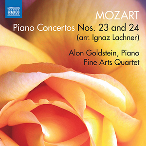 Piano Concerto No. 23 in A Major, K. 488 (arr. I. Lachner for piano, string quartet and double bass):II. Adagio