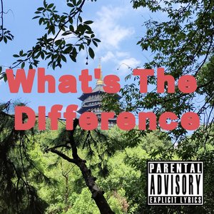Dr. Dre-What's The Difference（RIP remix）
