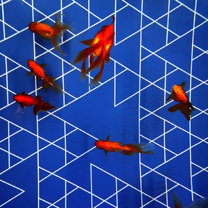 あの夏は永遠に