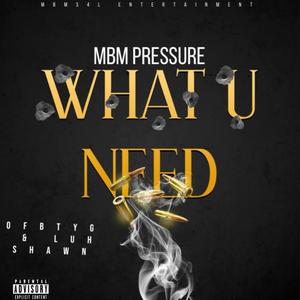 WHAT U NEED (feat. OFBTYG & LUH SHAWN)