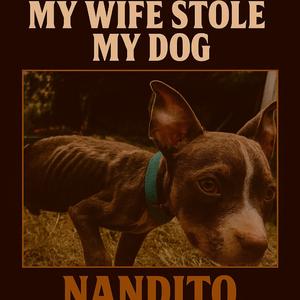 My wife stole my dog