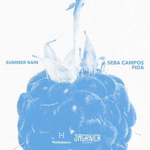 Summer Rain (Extended)