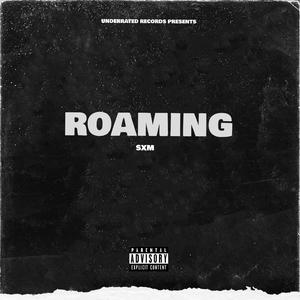 Roaming