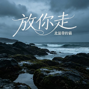 放你走