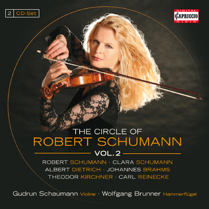 Violin Sonata in E Minor, Op. 116:I. Allegro con fuoco