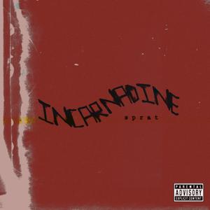 Everybody Loves Sophie