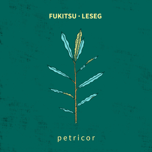 Petricor