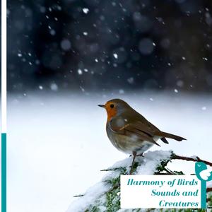 The Haunting Hooting of the Owl