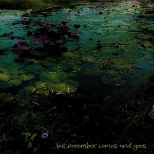 but november comes and goes