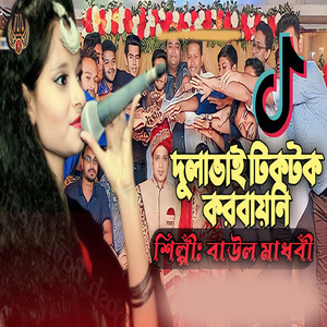 দুলাভাই টিকটক করবায়নি