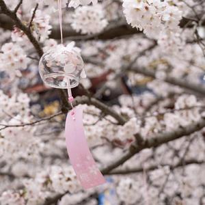 那一天我有幸识得世界