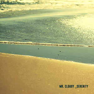 Serenity (Sraunus Remix)