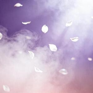 若梦 (Cover 一颗狼星)