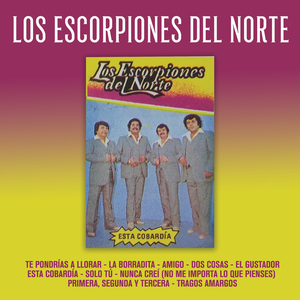 La Borradita