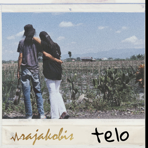 Telo