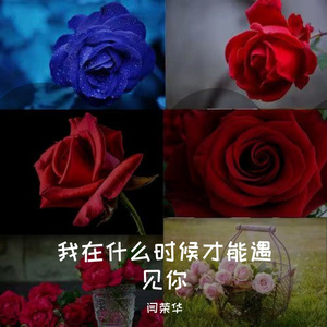 我在什么时候才能遇见你