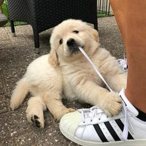 どうかしてる (sped up)