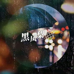 黑凤梨（翻自 nanase）