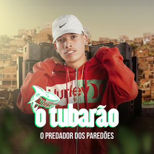 A Melhor Foda do Ano (feat. Mc Morena) (Remix)