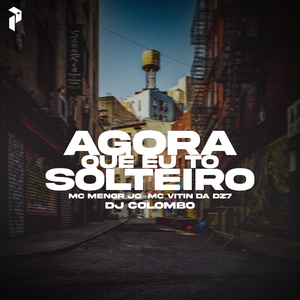 AGORA EU TO SOLTEIRO