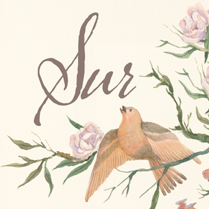 Sur