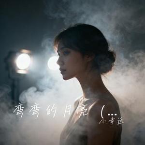 弯弯的月亮 (Remix)