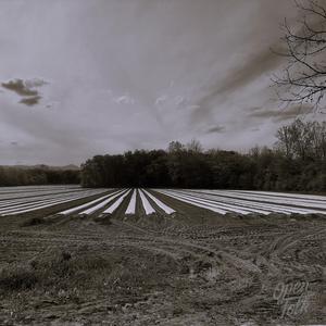 I Was That Guy (Live)