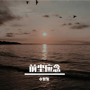 前尘应念（完整女版）