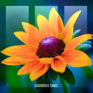 Ivory (Extended Mix)