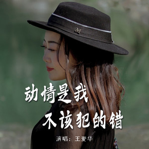 动情是我不该犯的错