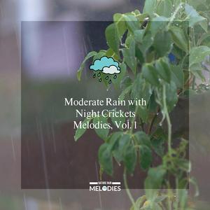 Boozing with Night Crickets